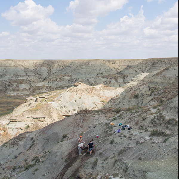 [Digging_up_dinosaurs_in_the_Southern_Alberta_Badlands_(left to right)_David_Evans,_Cary_Woodroffe,_Victoria_Arbour]