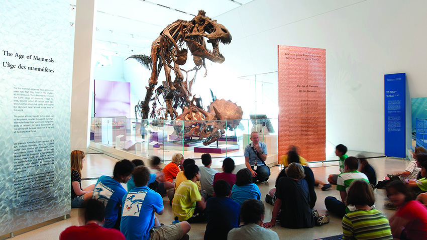 A school group visits the Dinosaur gallery and the ROM's t-rex.  A favorite stop for families visiting Toronto.