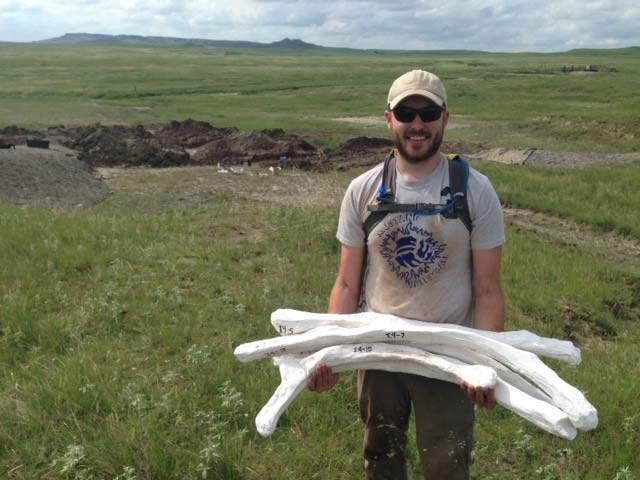 Mateus Wosik with an arm-load of freshly excavated Triceratops ribs.