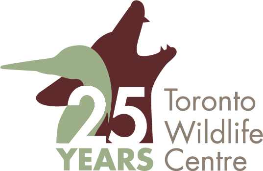 Toronto Wildlife Centre 25 years logo